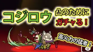 ぼくとネコ　確定コジロウガチャで凸素材GET！　高火力木属性キャラだから育てたい！