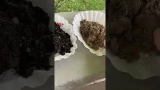 soil aggregate test
