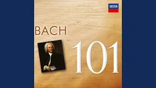 J.S. Bach: Suite No. 2 in B minor, BWV 1067: 6. Menuet