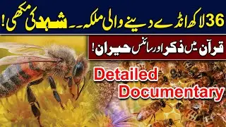 Secret Empire of Honey Bees - 36 Lakh Eggs by One Queen | Detailed Documentary | Hingol News