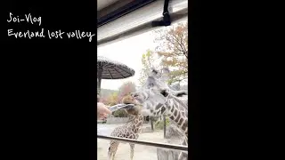[28개월 Soi-Vlog] 에버랜드 로스트밸리