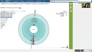 Taxonomic Classification Service - Submission and results when multiple read file are submitted.