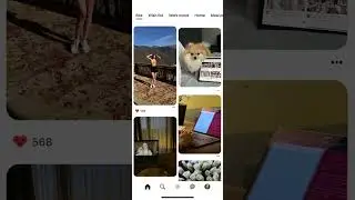 💌 всего за год моя жизнь стала такой. мы можем многое #webdesign #freelance #lifestyle #dog #design