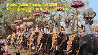 kodungallur thalappoli 2026 | കൊടുങ്ങല്ലൂർ താലപ്പൊലി 2026 | kodungallur thalapoli 2026 | elephant