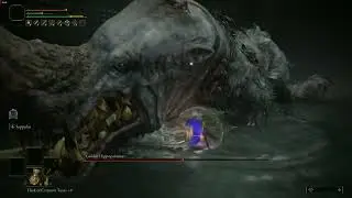 the golden hippo plan (rl1)