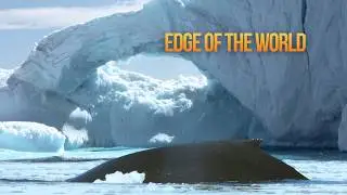 Antarctica Documentary: A Cinematic Journey to the Last Great Wilderness