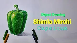 How to draw Shimla Mirch (Capsicum ) Using Oil Pestal Colour for Elementary & Intermediate Students