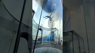 The freedom of flying 🤘 #ifly #indoorskydiving #royalcaribbean