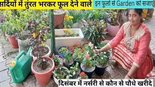 How to grow Winter Flower plants | घर पर यह फूल वाले पौधै जरुर लगाए 🌸🌱👩&zwj;🌾| #trending 