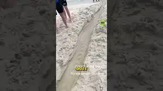 Tourist Made Made Drain on Florida Beach ⛱️ And Got Arrested !!!