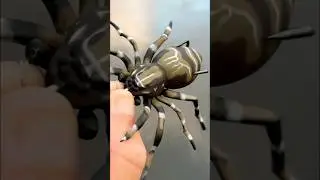Fishing A ULTRA-REALISTIC Spider Lure&hellip;