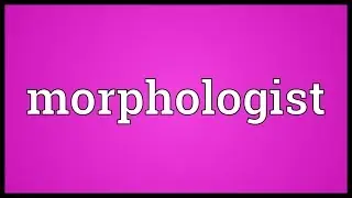 Morphologist Meaning
