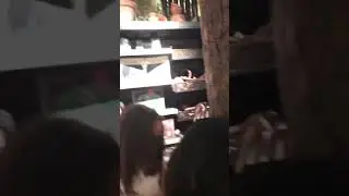 Toys & Games under Dirigible Plum Tree at Harry Potter New York Store