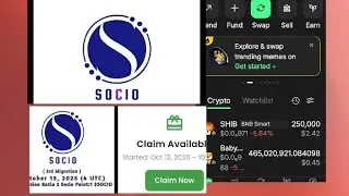 Как успешно получить социальные токены и импортировать их в трастовый кошелек