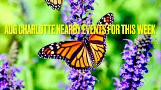 🦋Charlotte nearby events for this week #youtube #free #2024 #summer #charlotte #events #fun #weekend
