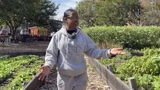 Urban agriculture education: Red Hook Farms