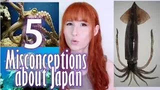 5 Misconceptions about Japan　日本に対する５つの誤解【日英字幕(追記・訂正)】