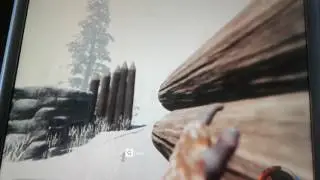 Huge North base The Forest (0.56c)