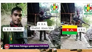 #rohingyanews RRV Arakan Rohingya update news 31/01/2025