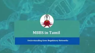 MET29  |  MEVIL.Ta.4 | Understanding Gene Regulatory Networks by Baburangan