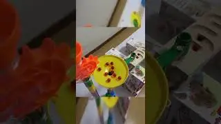 Marble Run ASMR 🌀 Plastic Track &ndash; Smooth Rolling & Relaxing Sounds