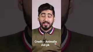 All about cat vaccination😸😸 | vet Furqan | #animaliadotpk | Full video link in description |