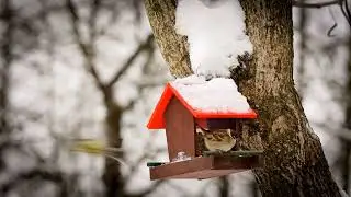 Cinematic Winter Wonderland Snowy Village Drone View LensVew
