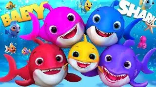 Baby Shark Song in Hindi| Most Viewed Kids Song Ever | Baby Shark Song ,Fun Dance for Kids & Toddler