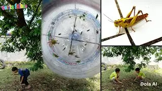Petualangan Seru ‼️ Menangkap Belalang di Alam Bebas 