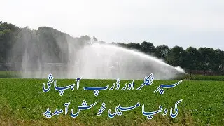 Rabail Technologies | Irrigation Experts in Pakistan | Drip & Sprinkler Systems
