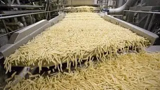 How Do They Make Potato Chips ?,Line Modern Food Processing Technology,Potato  Processing Line