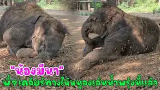 น้องมีนา ได้ข่าวว่าวันนี้พี่ๆเคลียร์พื้นที่เตรียมทางไว้ให้หนูลงเล่นน้ำแล้ว หนูจะจัดเต็มความสนุกให้ดู
