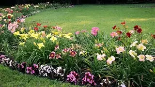 🌺Дизайн сада Лучшие идеи для вдохновения / Best Garden Ideas / A - Video