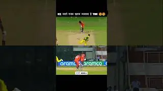 Mitchel starc hat-trick against netherlands 🔥🔥 #shorts #worldcup