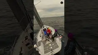 Late November Sailing in Puget Sound | DJI Avata 4K Drone Footage