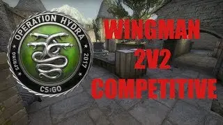 OPERATION HYDRA WINGMAN!!! #9