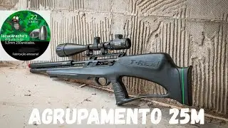Agrupamento incrível 25M • T-Rex bullpump • slug lacucaracha's 