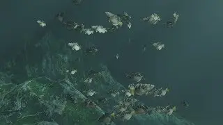 Blender FishSim Addon Tutorial