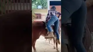 Beautiful Girl and Horse 🥰
