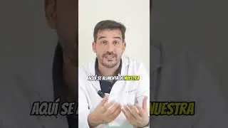 🔴 Como eliminar piojos y liendres 3:4