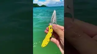 Brought my #spyderco Salt 2 to  #costarica 🏝 Perfect #edc for the beach! H1 steel won&rsquo;t rust 😎