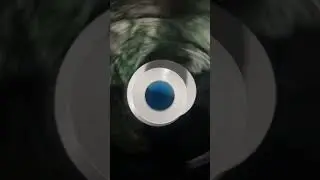 The Washing Machine Live
