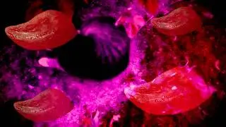 Darbo džiaugsmai  - Slaptas akustinis ginklas (Oficialus video)