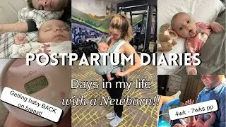 RAW Days in my Life with a NEWBORN | Exclusive pumping journey | 4-7 wk old