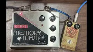 Electro-Harmonix Deluxe Memory Man + Analogman Sun Face Fuzz NKT 275 red dot (Part II)