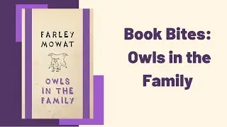 Book Bites: Owls in the Family