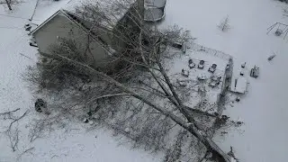 Dangerous Tree Fell on the House!