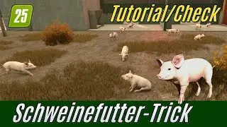 LS25 Tutorial: Schweinefutter kompliziert und aufwendig? (Check)