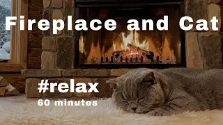 Relaxing Cabin Fireplace And Sleeping Cats #fireplace #fireplaces