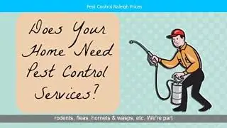 Termite Treatment Raleigh